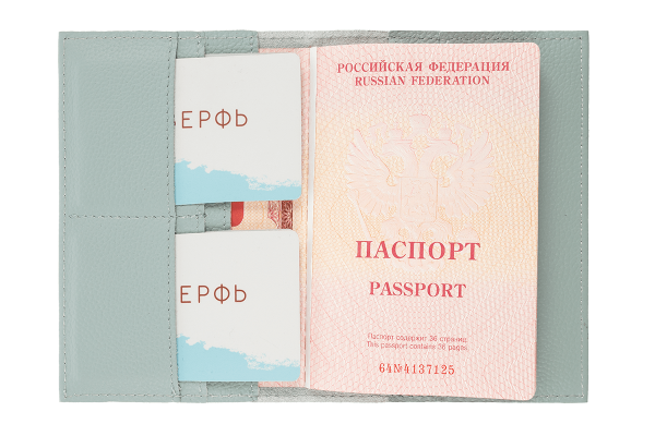 Обложка на паспорт Docker Grey-Blue
