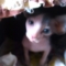 Avatar photo