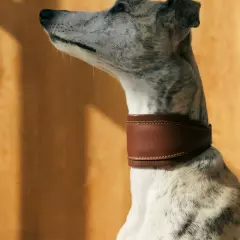 Кожаный ошейник Селедка Brown - Image 2